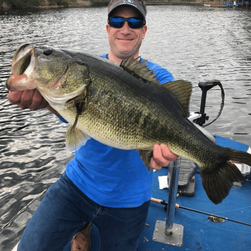 How to Fish for Bass: A Guide for Beginners