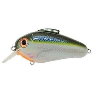 Bill Lewis Echo-Hard Baits-Bill Lewis Baits-Blue Shiner-1.75-Bass Fishing Hub