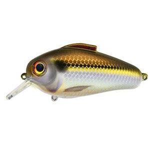 Bill Lewis Echo-Hard Baits-Bill Lewis Baits-Gizzard Shad-1.75-Bass Fishing Hub