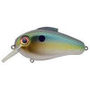 Bill Lewis Echo-Hard Baits-Bill Lewis Baits-Sexy Shad-1.75-Bass Fishing Hub