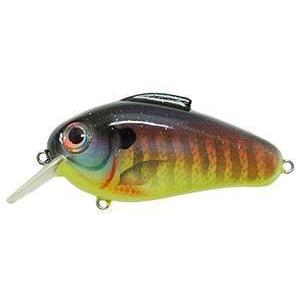 Bill Lewis Echo-Hard Baits-Bill Lewis Baits-Sunrise Perch-1.75-Bass Fishing Hub