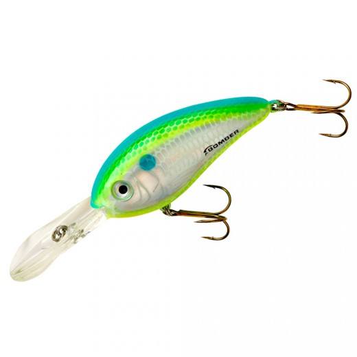 fat shad fishing lures Citrus Shad